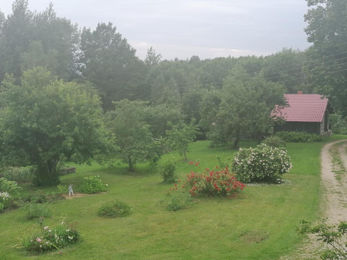 Country House Podini Διαμέρισμα Mālpils Εξωτερικό φωτογραφία