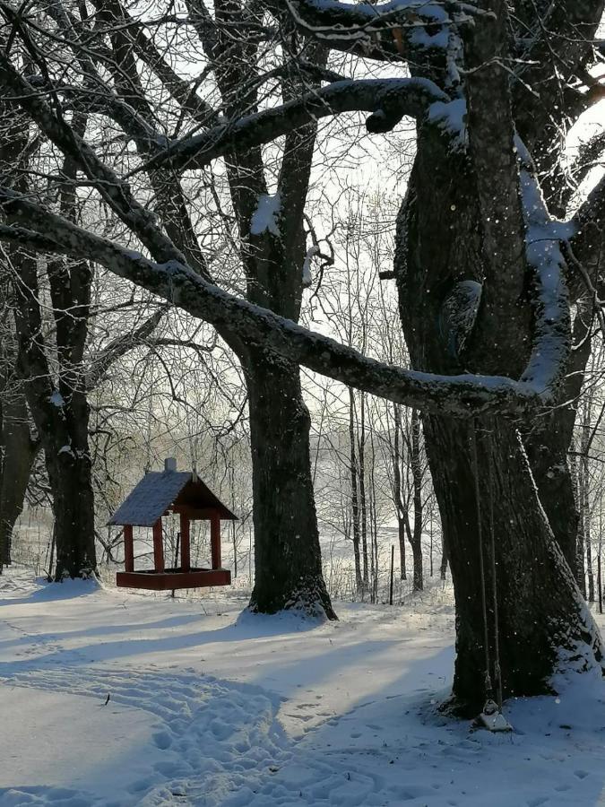 Country House Podini Διαμέρισμα Mālpils Εξωτερικό φωτογραφία