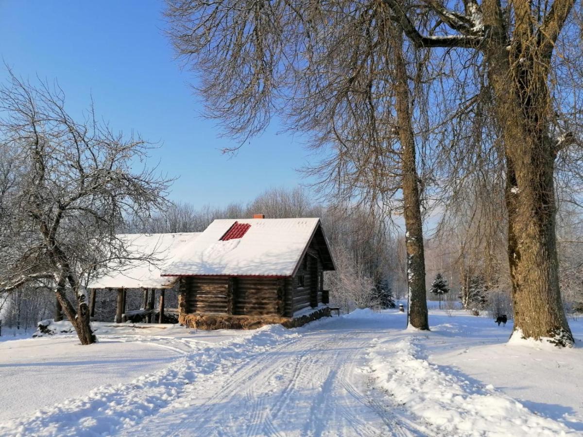 Country House Podini Διαμέρισμα Mālpils Εξωτερικό φωτογραφία